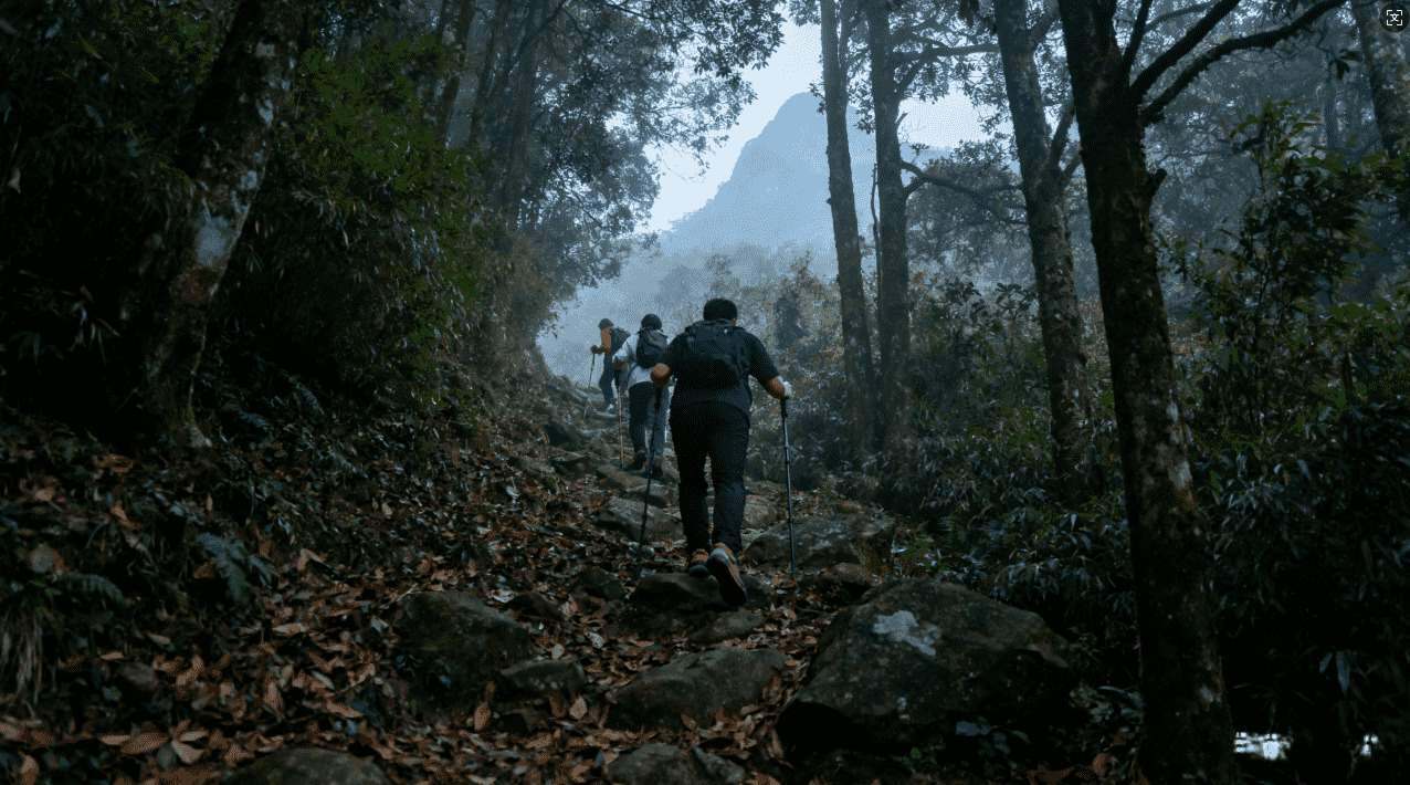 海鸥加速器全面测评与详细使用教程解析指南